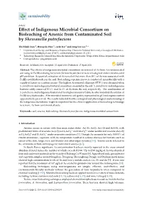 Effect of Indigenous Microbial Consortium on Bioleaching of Arsenic from Contaminated Soil by Shewanella Putrefaciens