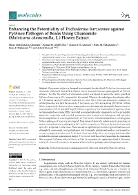 Enhancing the Potentiality of Trichoderma Harzianum Against Pythium Pathogen of Beans Using Chamomile (Matricaria Chamomilla, L.) Flower Extract