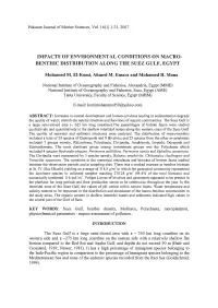Impacts of Environmental Conditions on Macro-Benthic Distribution Along