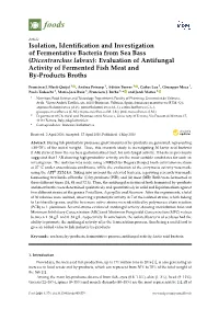 Isolation, Identification and Investigation Of