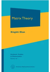 Matrix Theory