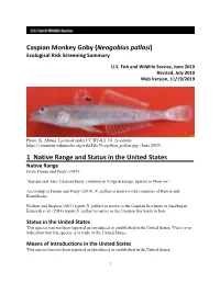 Neogobius Pallasi (Caspian Monkey Goby) Ecological Risk Screening Summary