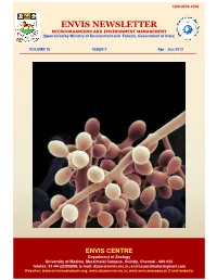 View Pdf Format