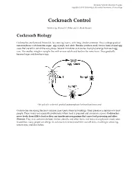 Cockroach Control