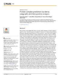 Protein Complex Prediction Via Dense Subgraphs and False Positive Analysis