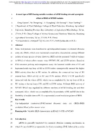 A Novel Type of IRES Having Variable Numbers of Eif4e-Binding Site and Synergistic