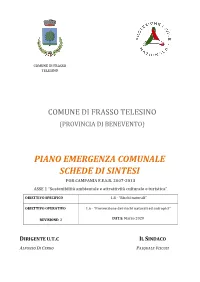 Allegato-2 Schede-Di-Sintesi-2020