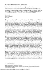 Metaphor: a Computational Perspective