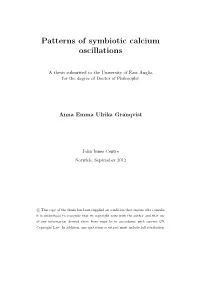 Patterns of Symbiotic Calcium Oscillations