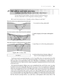 D9 Rift Valleys and Triple Junctions