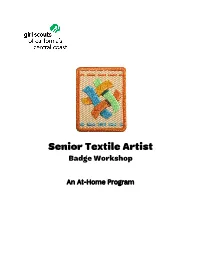 Senior Textile Artist Badge Workshop