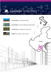 The New Macro-Area Is One of the Most Important Productive Area of the Venetian Territory in the South of Padova