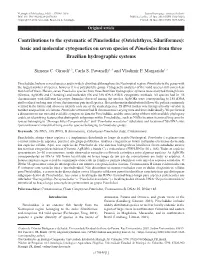 Contributions to the Systematic of Pimelodidae