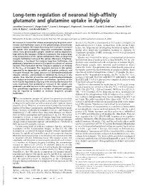 Long-Term Regulation of Neuronal High-Affinity Glutamate and Glutamine Uptake in Aplysia