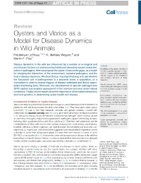 Oysters and Vibrios As a Model for Disease Dynamics in Wild Animals