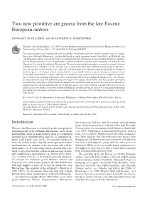 Two New Primitive Ant Genera from the Late Eocene European Ambers