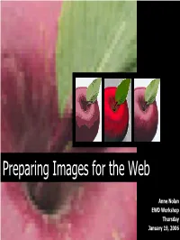 Vector Graphics Is the Use of Geometrical Primitives Such As Points, Lines, Curves, and Polygons to Represent Images in Computer Graphics