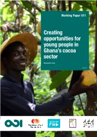 Creating Opportunities for Youth in Ghana's Cocoa Sector FINAL 19