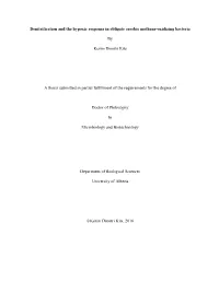 Denitrification and the Hypoxic Response in Obligate Aerobic Methane-Oxidizing Bacteria
