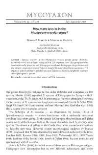 How Many Species in the &lt;I&gt;Rhizopogon Roseolus&lt;/I&gt; Group?