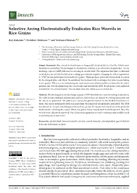 Selective Arcing Electrostatically Eradicates Rice Weevils in Rice Grains
