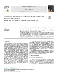 The Expression of Bradykinin and Its Receptors in Spinal Cord Ischemia