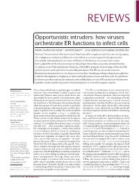 Opportunistic Intruders: How Viruses Orchestrate ER Functions to Infect Cells