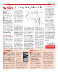 A Journey Through Farndale