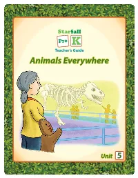 Animals Everywhere