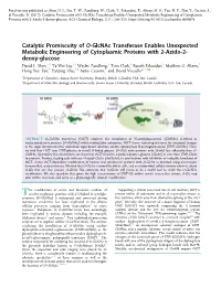 Catalytic Promiscuity of O‑Glcnac Transferase Enables Unexpected Metabolic Engineering of Cytoplasmic Proteins with 2‑Azido-2- Deoxy-Glucose † ‡ † ‡ † † † † David L