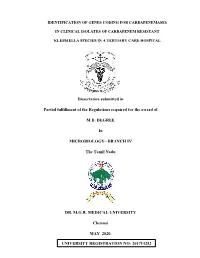 Dissertation Submitted in Partial Fulfillment of the Regulations