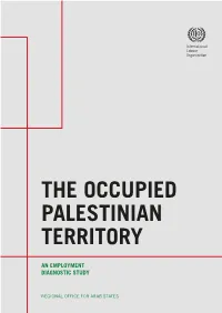 The Occupied Palestinian Territory: an Employment Diagnostic Studypdf