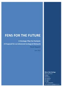 Fens for the Future Strategy