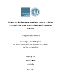 Receptor Evolution, Neuronal Circuits and Behavior in the Model Organism Zebrafish Inaugur