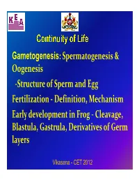 Gametogenesis: Spermatogenesis & Oogenesis -Structure of Sperm and Egg Fertilization