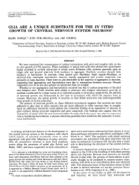 Glia Are a Unique Substrate for the in Vitro Growth of Central Nervous System Neurons1