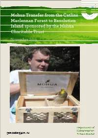 Mohua Transfer from the Catlins Maclennan Forest to Resolution Island Sponsored by the Mohua Charitable Trust November 2013