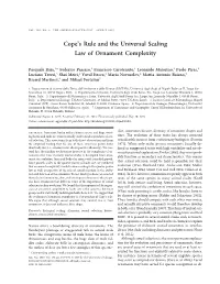 Cope's Rule and the Universal Scaling Law Of