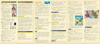 Game Rules- “Scourge of Rome” Card