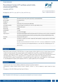 Recombinant Human ATP Synthase Subunit Delta, Mitochondrial(ATP5D)