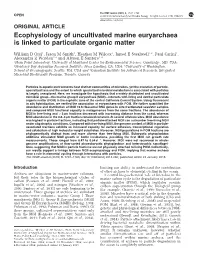 Ecophysiology of Uncultivated Marine Euryarchaea Is Linked to Particulate Organic Matter