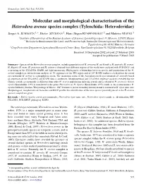 Molecular and Morphological Characterisation of the Heterodera Avenae Species Complex (Tylenchida: Heteroderidae)
