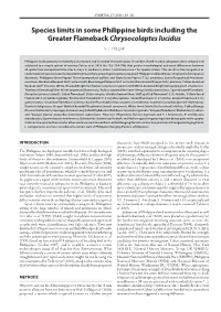 Species Limits in Some Philippine Birds Including the Greater Flameback Chrysocolaptes Lucidus