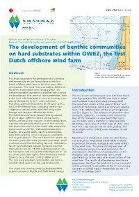 The Development of Benthic Communities on Hard Substrates Within OWEZ, the First Dutch Offshore Wind Farm