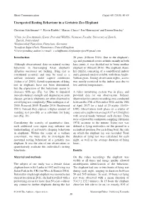 Unexpected Resting Behaviour in a Geriatric Zoo Elephant