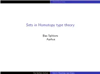 Sets in Homotopy Type Theory