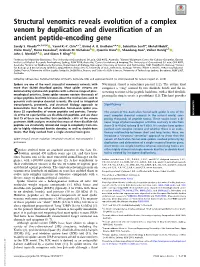 Structural Venomics Reveals Evolution of a Complex Venom by Duplication and Diversification of an Ancient Peptide-Encoding Gene