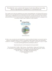 Tidal Courses: Classification, Origin and Functionality