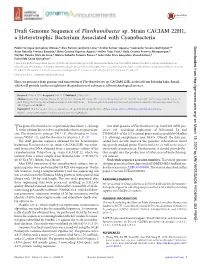 Draft Genome Sequence of Flavihumibacter Sp. Strain CACIAM