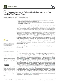 Leaf Photosynthesis and Carbon Metabolism Adapt to Crop Load in ‘Gala’ Apple Trees